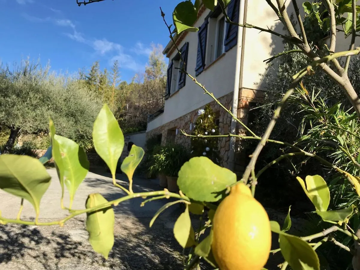Casa vacanze Chambre d'Hôtes La Cabrière Salernes